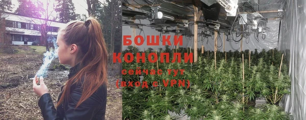 крисы Володарск