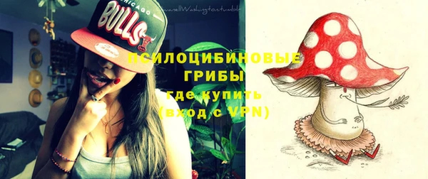 метадон Белокуриха