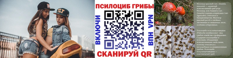 Псилоцибиновые грибы GOLDEN TEACHER  сколько стоит  Славск 